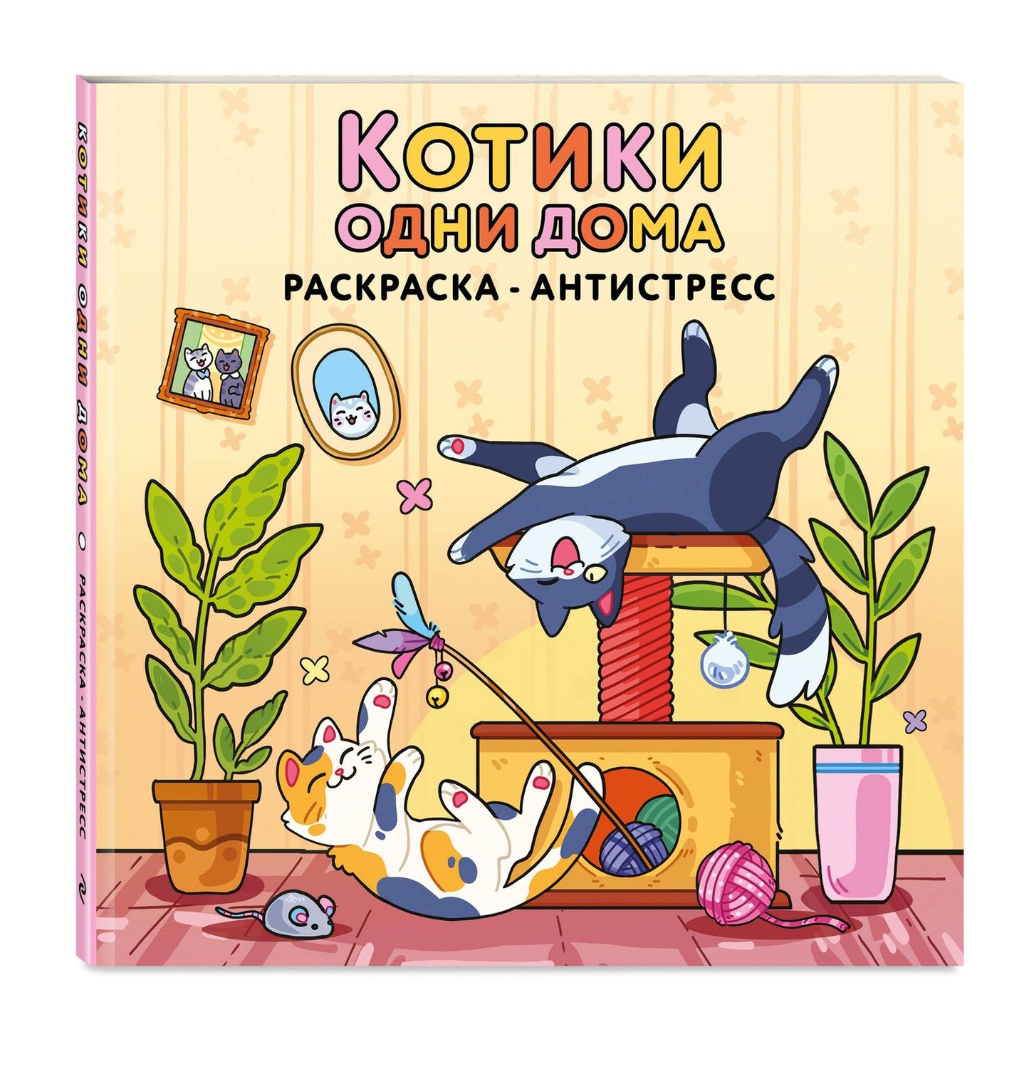 Котики одни дома. Раскраска-антистресс