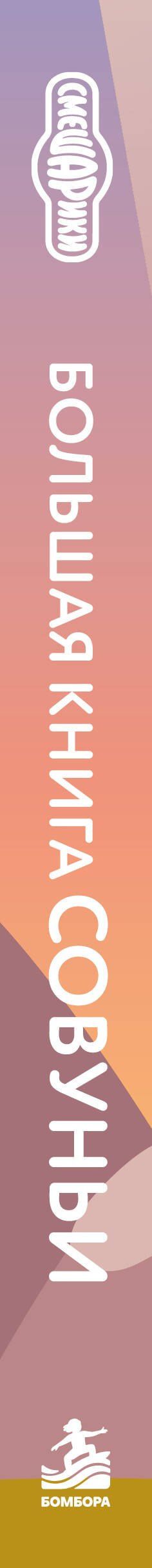 Большая книга Совуньи. Житейские мудрости, которых так не хватает во взрослой жизни