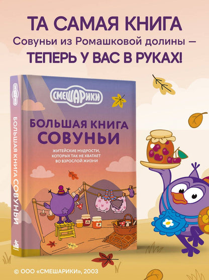 Большая книга Совуньи. Житейские мудрости, которых так не хватает во взрослой жизни