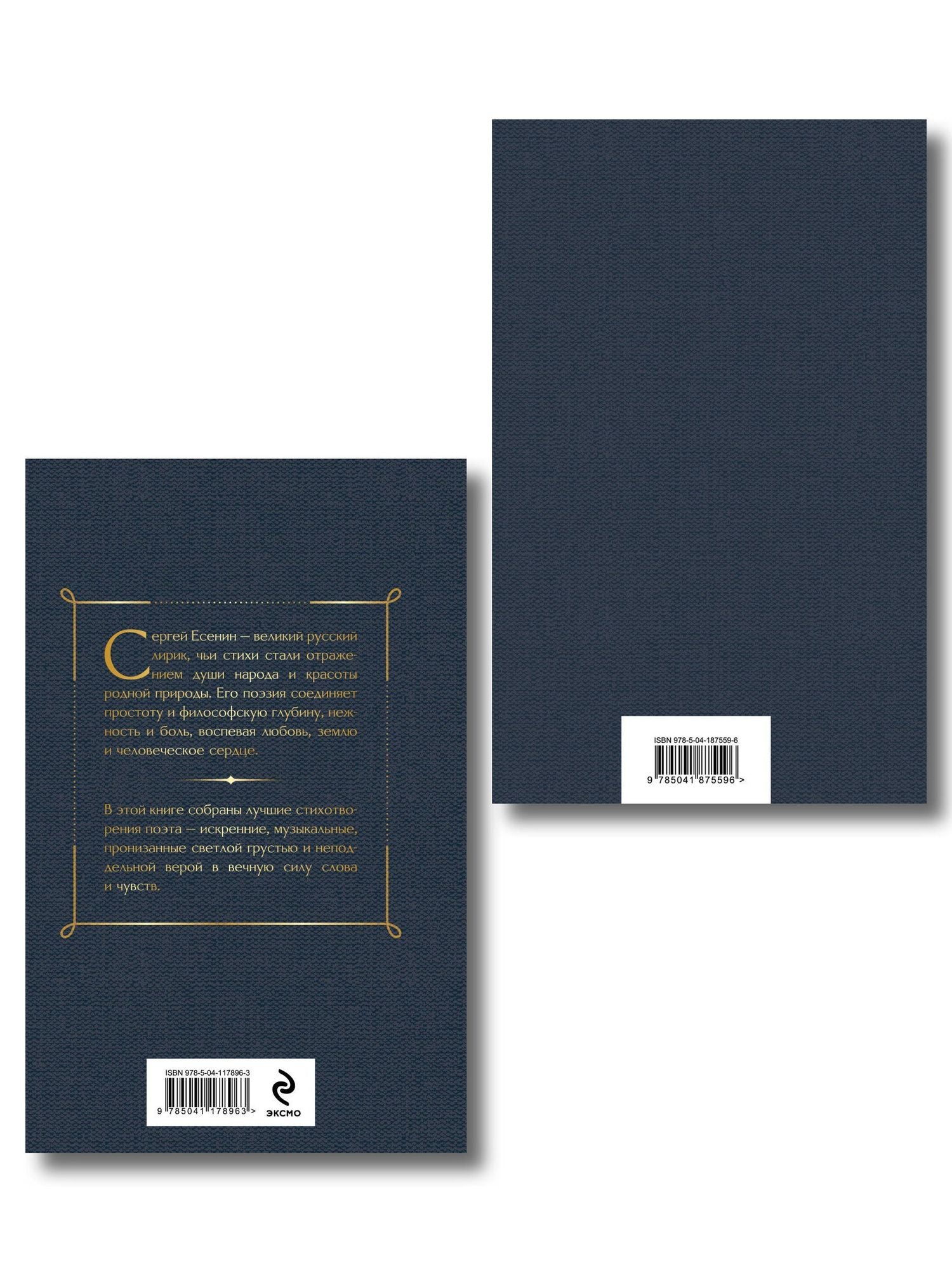 Комплект Два сердца революции (из 2-х книг Есенин и Маяковский)