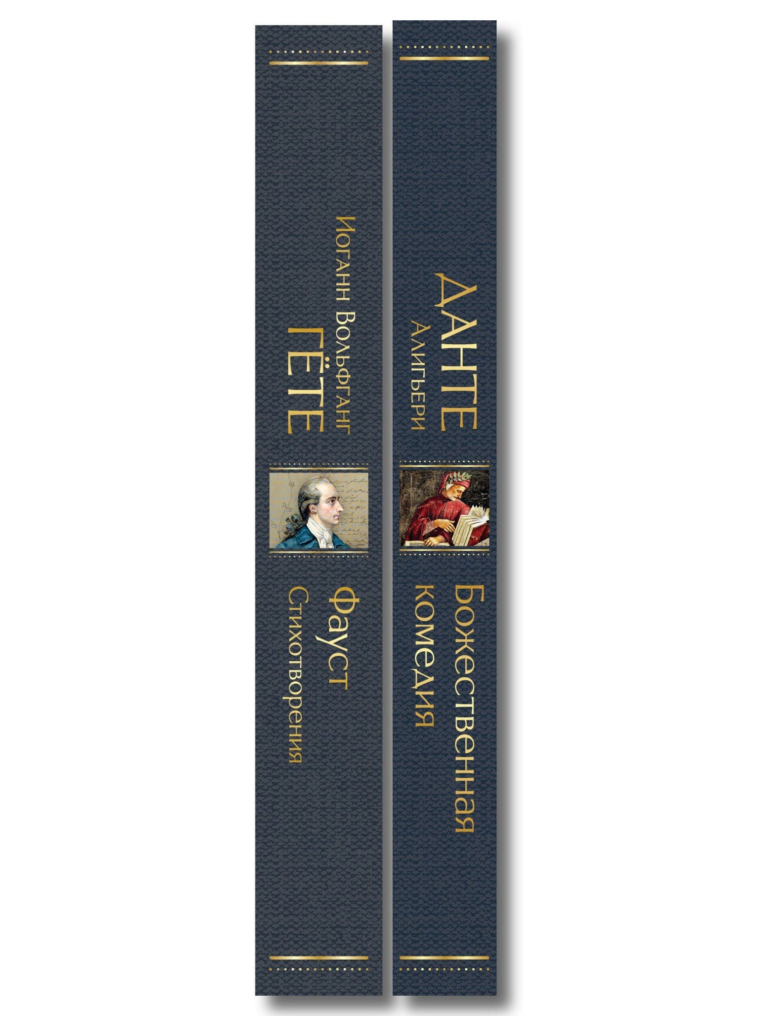 Комплект Путешествие сквозь вечность (из 2-х книг Божественная комедия и Фауст. Стихотворения )
