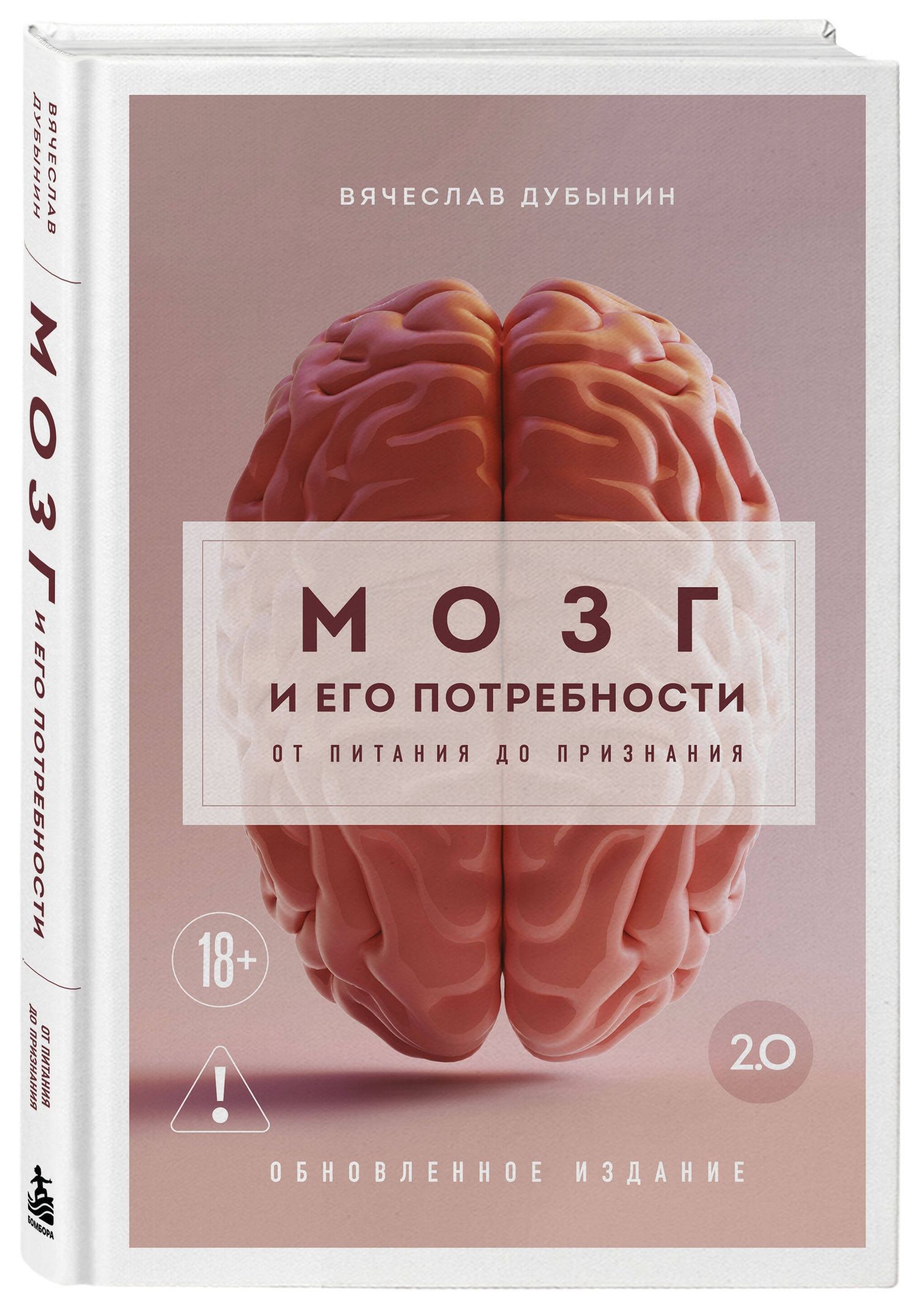 Вячеслав Дубынин: Мозг и его потребности 2.0. От питания до признания