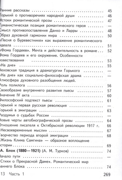 Русский язык и литература. Литература. 11 класс. Учебник. В 5-ти частях. Часть 2. Базовый уровень (для обучающихся с нарушением зрения)