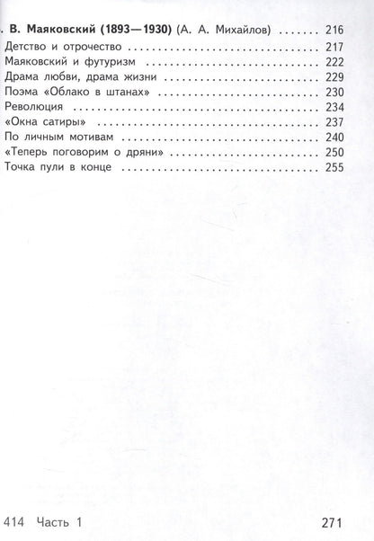 Русский язык и литература. Литература. 11 класс. Учебник. В 5-ти частях. Часть 2. Базовый уровень (для обучающихся с нарушением зрения)
