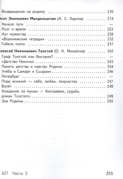 Русский язык и литература. Литература. 11 класс. Учебник. В 5-ти частях. Часть 3. Базовый уровень (для обучающихся с нарушением зрения)