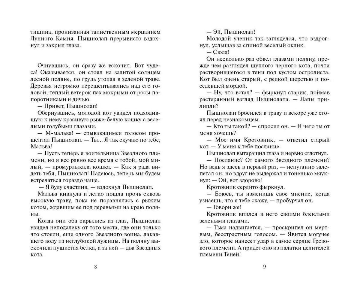 Эрин Хантер: Тайна Щербатой. Предназначение