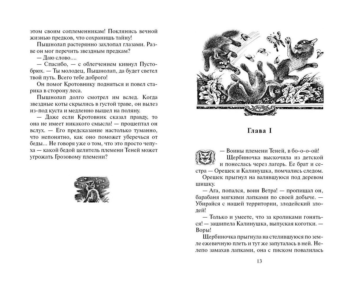 Эрин Хантер: Тайна Щербатой. Предназначение