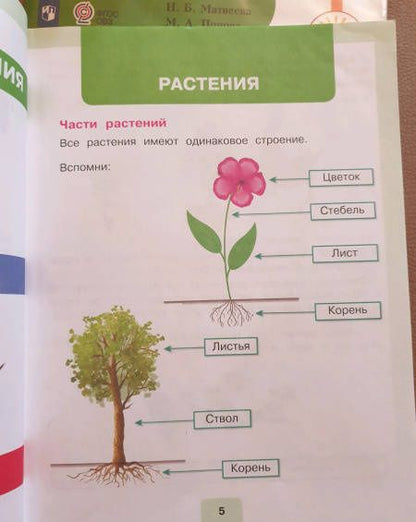 Ирина Ярочкина: Мир природы и человека. 2 класс. Учебник. Адаптированные программы. В 2-х частях. Часть 1. ФГОС ОВЗ