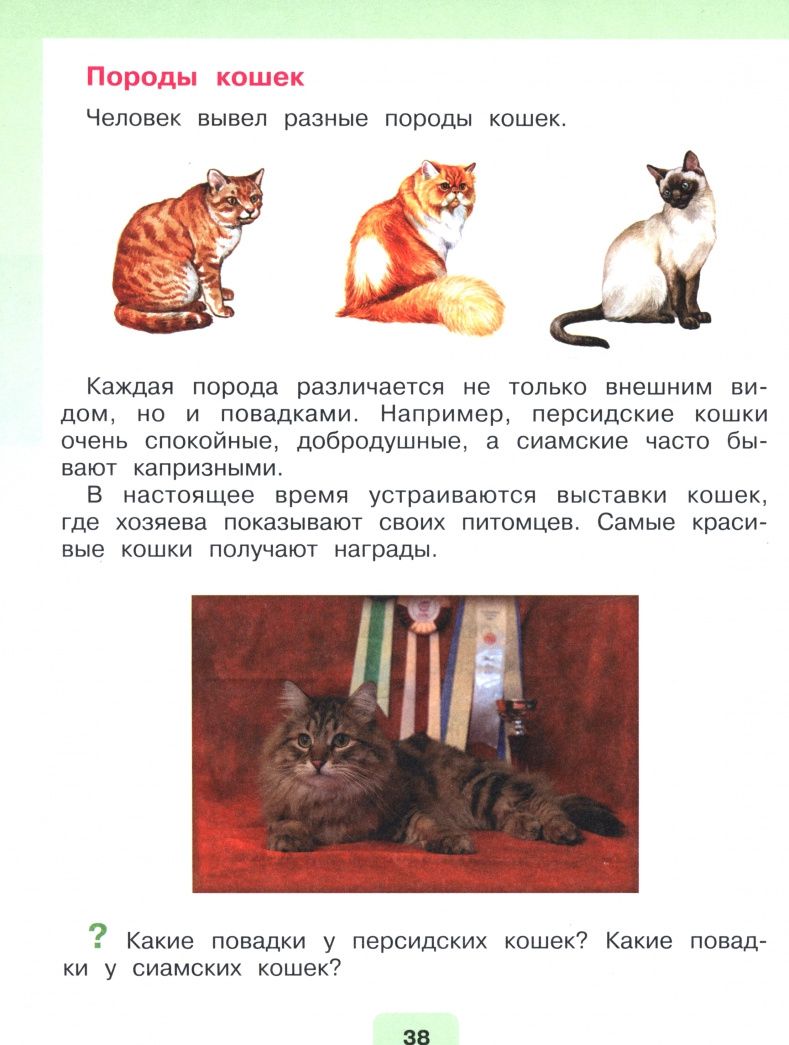 Ирина Ярочкина: Мир природы и человека. 2 класс. Учебник. Адаптированные программы. В 2-х частях. Часть 2. ФГОС ОВЗ