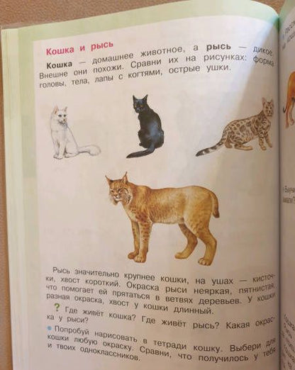 Ирина Ярочкина: Мир природы и человека. 2 класс. Учебник. Адаптированные программы. В 2-х частях. Часть 2. ФГОС ОВЗ