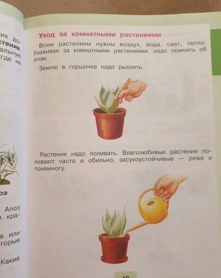 Ирина Ярочкина: Мир природы и человека. 2 класс. Учебник. Адаптированные программы. В 2-х частях. Часть 2. ФГОС ОВЗ
