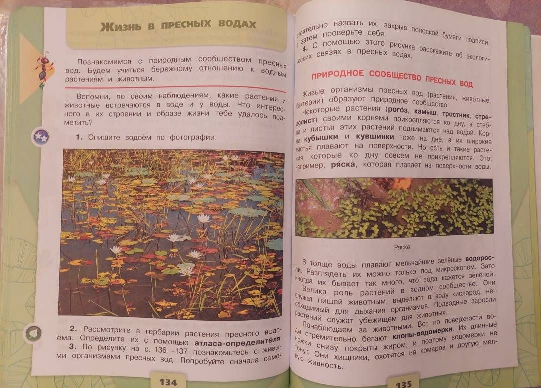 Елена Крючкова: Окружающий мир. 4 класс. Учебник. В 2-х частях. Часть 1. ФГОС