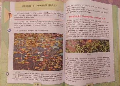 Елена Крючкова: Окружающий мир. 4 класс. Учебник. В 2-х частях. Часть 1. ФГОС