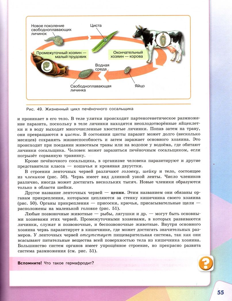 Владислав Сивоглазов: Биология. 7 класс. Учебник. ФП. ФГОС