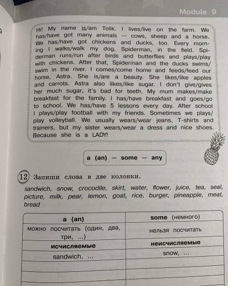 Светлана Рязанцева: Английский язык. 3 класс. Сборник грамматических упражнений. Звёздный английский. ФГОС