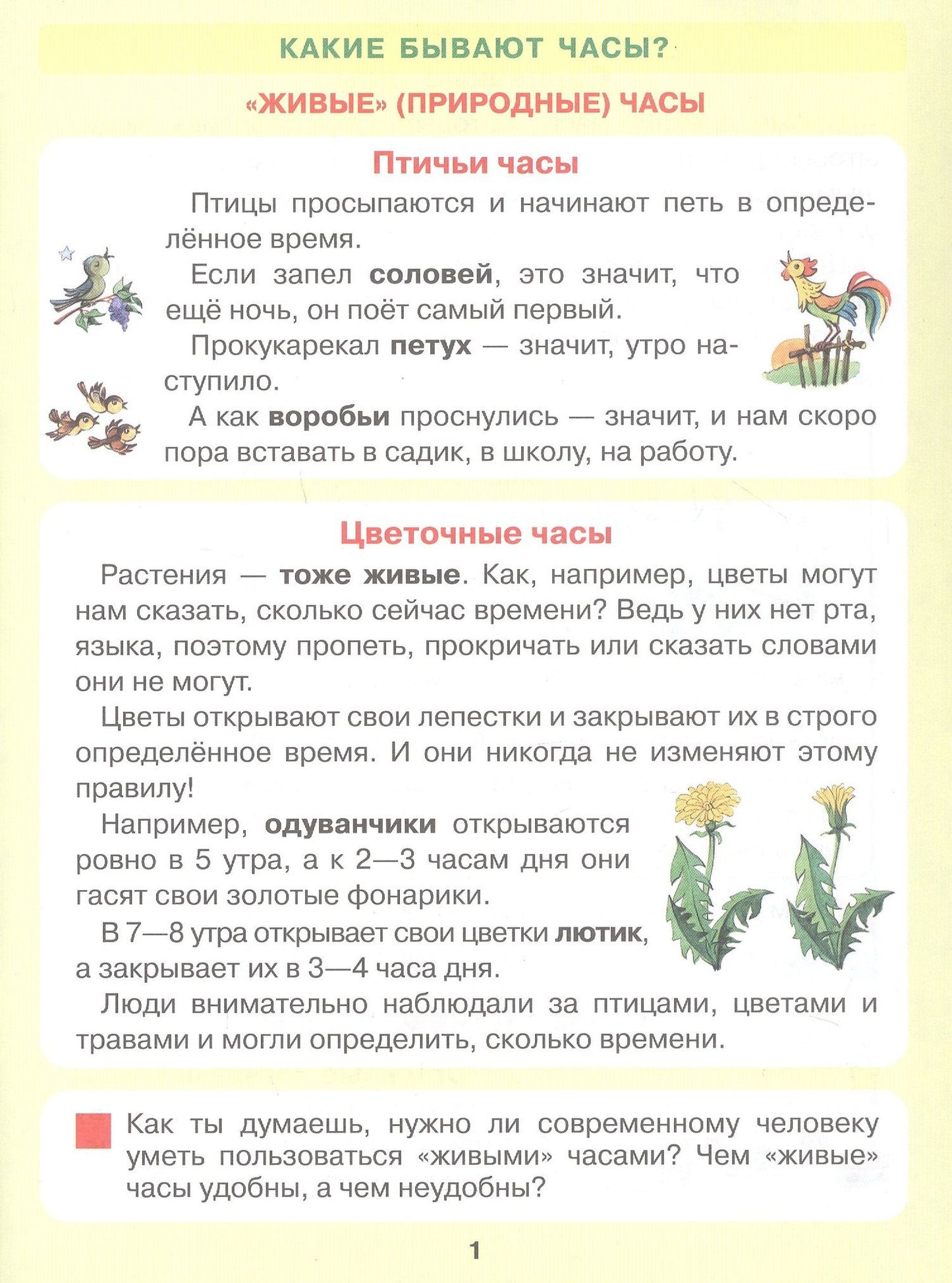 Елена Кочемасова: Который час? Математика для детей 5-7 ле