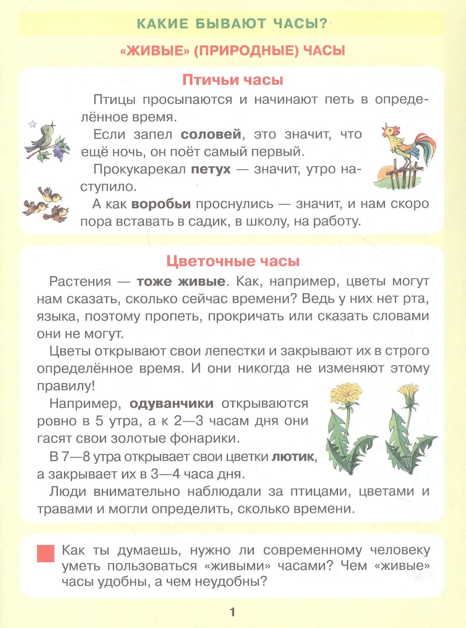 Елена Кочемасова: Который час? Математика для детей 5-7 ле