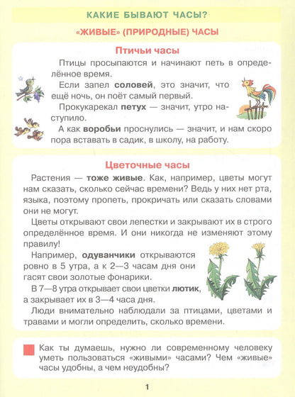 Елена Кочемасова: Который час? Математика для детей 5-7 ле