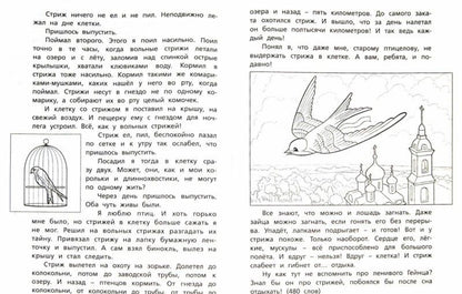 Елена Матвеева: Литературное чтение. 4 класс. Тетрадь для тренировки и самопроверки. ФГОС