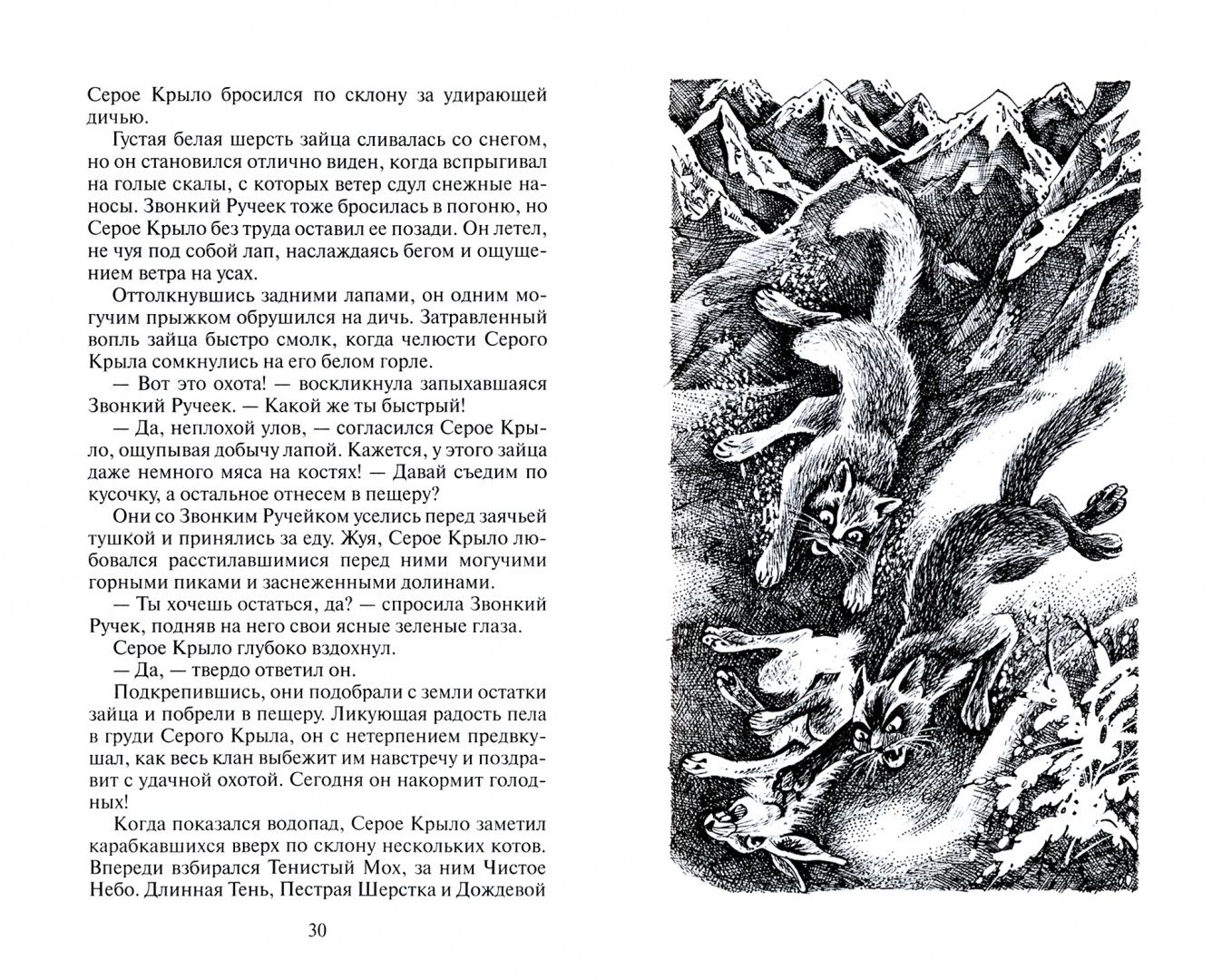 Хантер Эрин: Солнечный путь