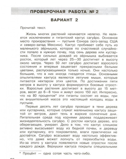 Татьяна Мишакина: Литературное чтение. 3 класс. Подготовка к Всероссийской проверочной работе. ФГОС