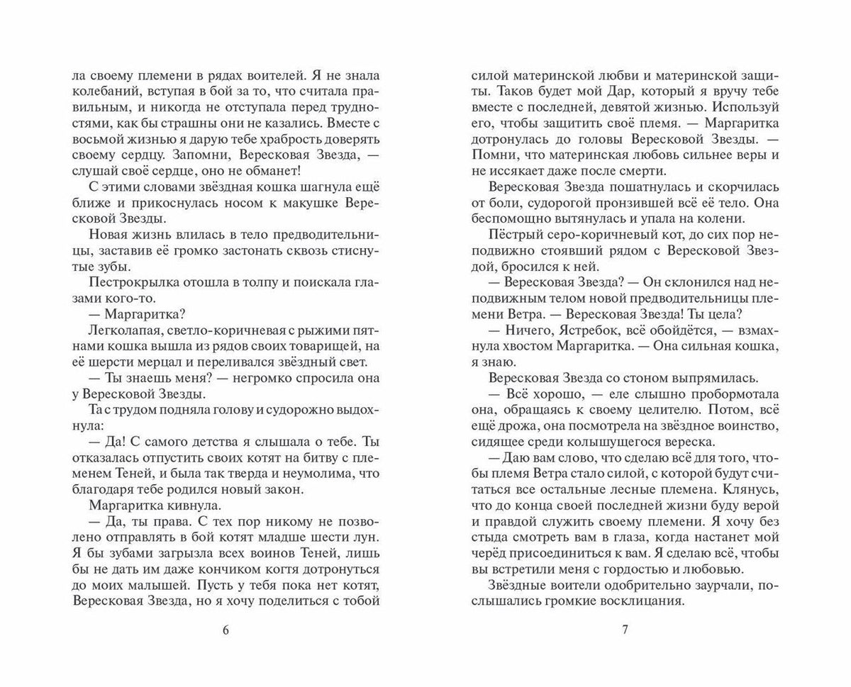 Эрин Хантер: Месть Звездного Луча. Разлом