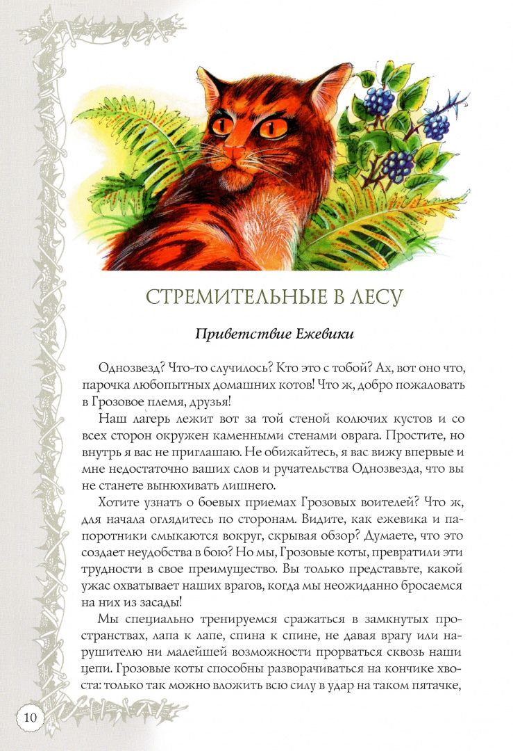 Хантер Эрин: Битвы племен