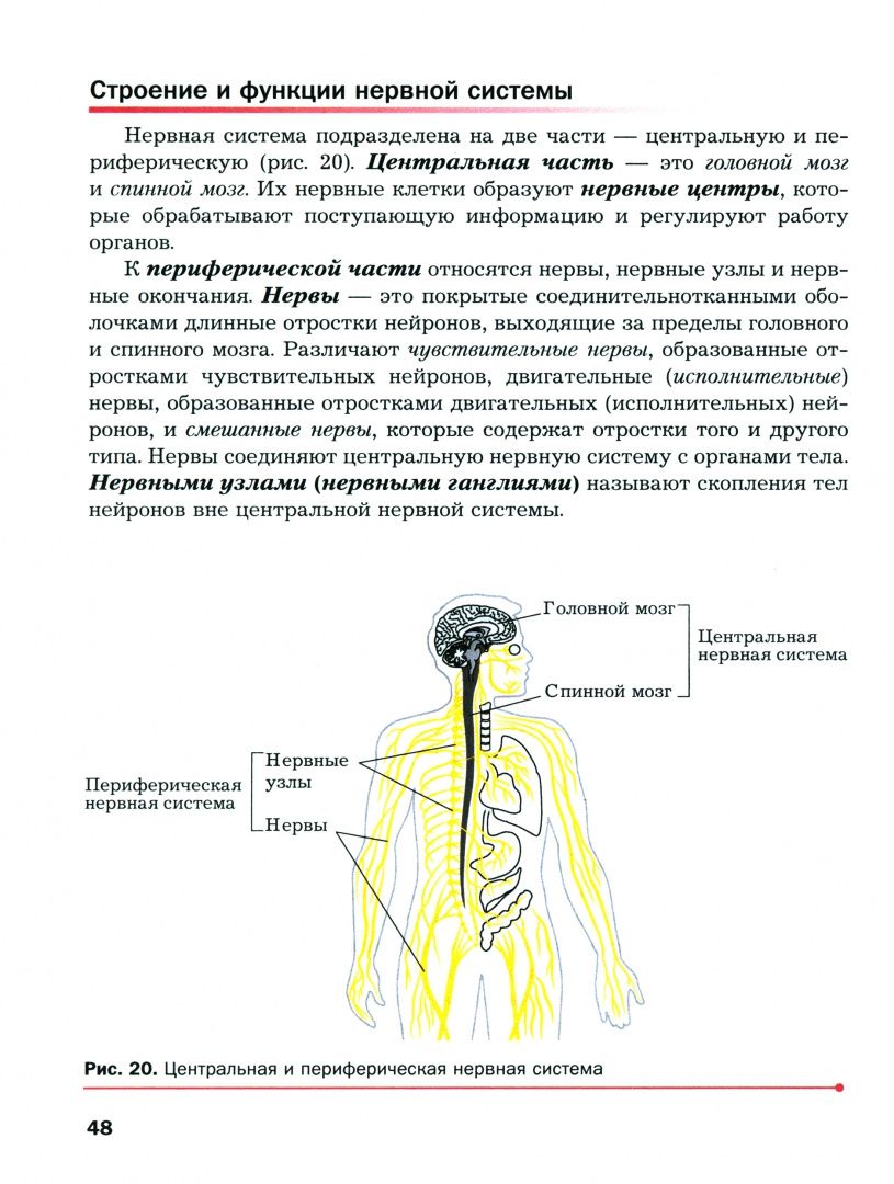 Александр Драгомилов: Биология. 9 класс. Учебное пособие. Базовый уровень. ФГОС