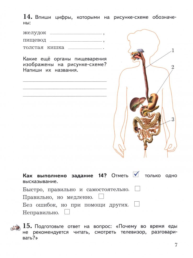 Наталья Виноградова: Окружающий мир. 3 класс. Рабочая тетрадь. В 2-х частях