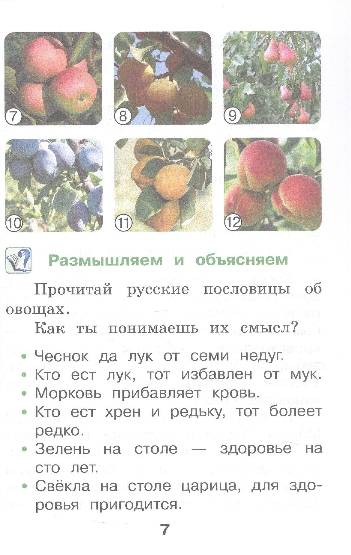 Елена Купирова: Окружающий мир. 1 класс. Учебное пособие. В двух частях. Часть 2. ФГОС 2021
