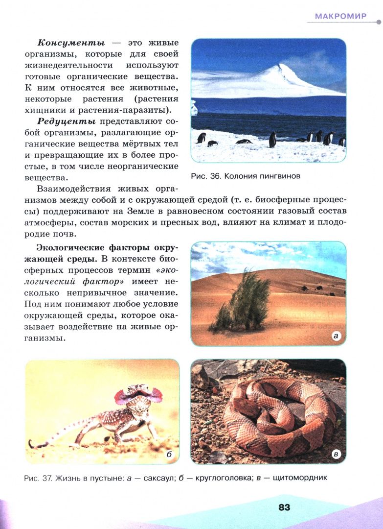 Олег Габриелян: Естественно-научная картина мира. 10-11 классы. Учебное пособие