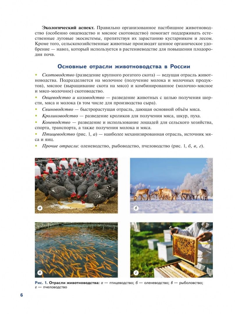 Эффективное животноводство и современные корма. 7-9 классы. Учебное пособие