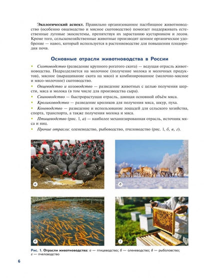 Эффективное животноводство и современные корма. 7-9 классы. Учебное пособие