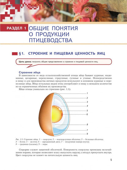 Ольга Мясникова: Птицеводство будущего: технологии и управление. 7-9 классы. Учебное пособие