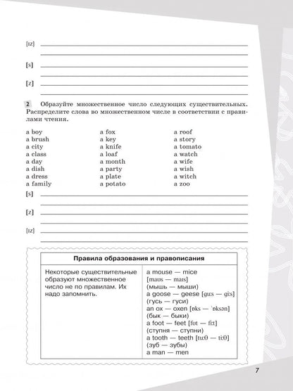 Владимир Кузовлев: Английский язык. 5 класс. Грамматический тренажер