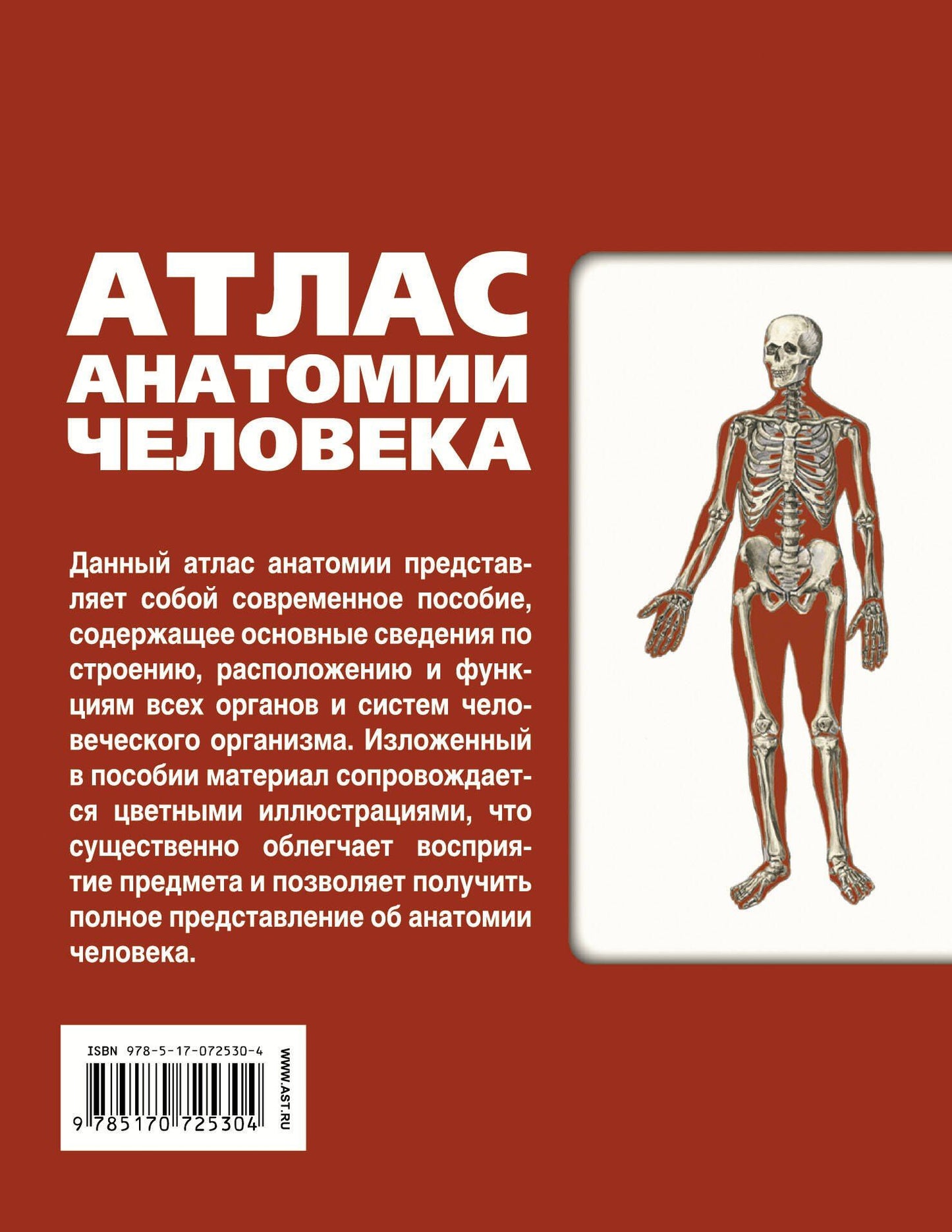 Сергей Левкин: Атлас анатомии человека(инт.пер.)