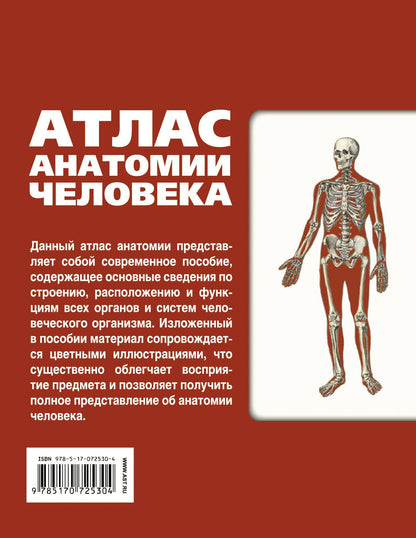 Сергей Левкин: Атлас анатомии человека(инт.пер.)