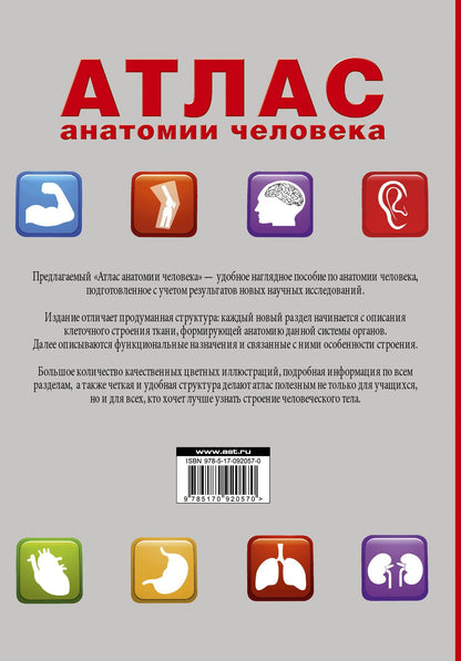 Рудольф Самусев: Атлас анатомии человека
