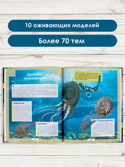 Дмитрий Кошевар: Подводный мир