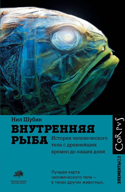 Нил Шубин: Внутренняя рыба. Исторя человеческого тела с древнейших времен до наших дней