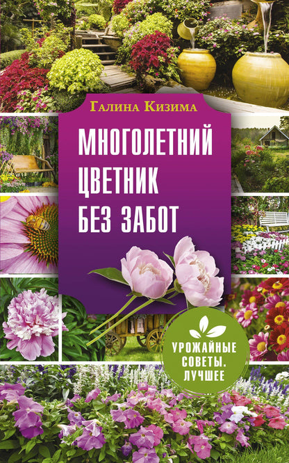 Галина Кизима: Многолетний цветник без забот