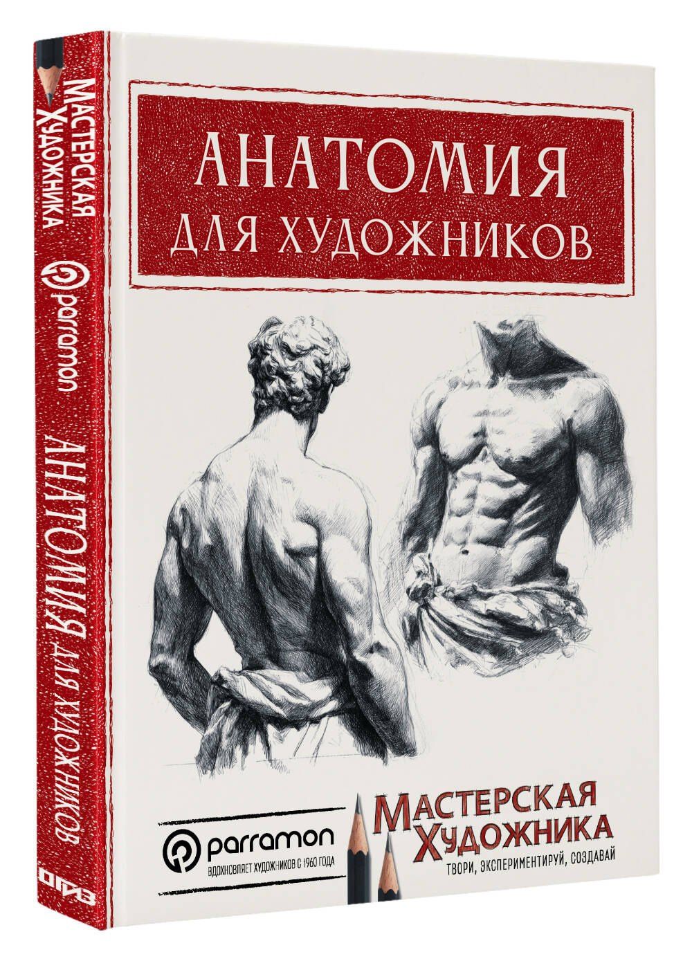 Давид Санмигель: Анатомия для художников