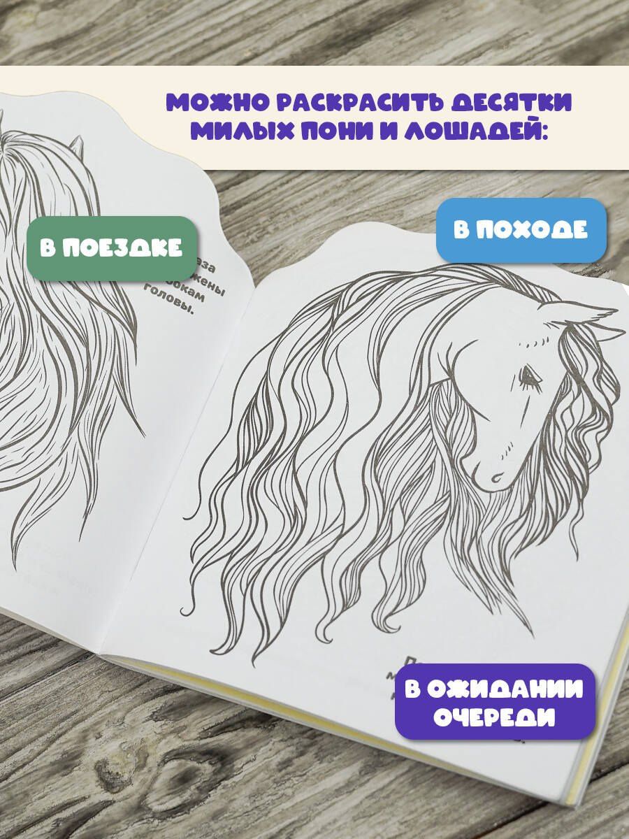 Пони и лошадки