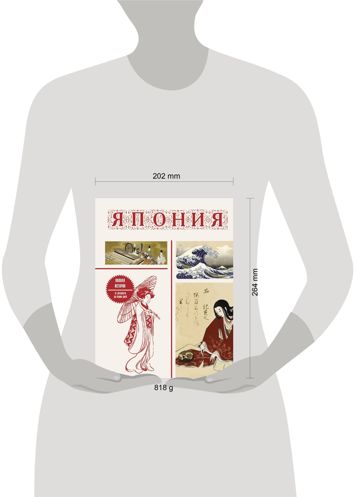Танака Тайдзи: Япония. Полная история (подарочное издание)