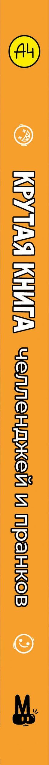 Влад А4. Крутая книга челленджей и пранков