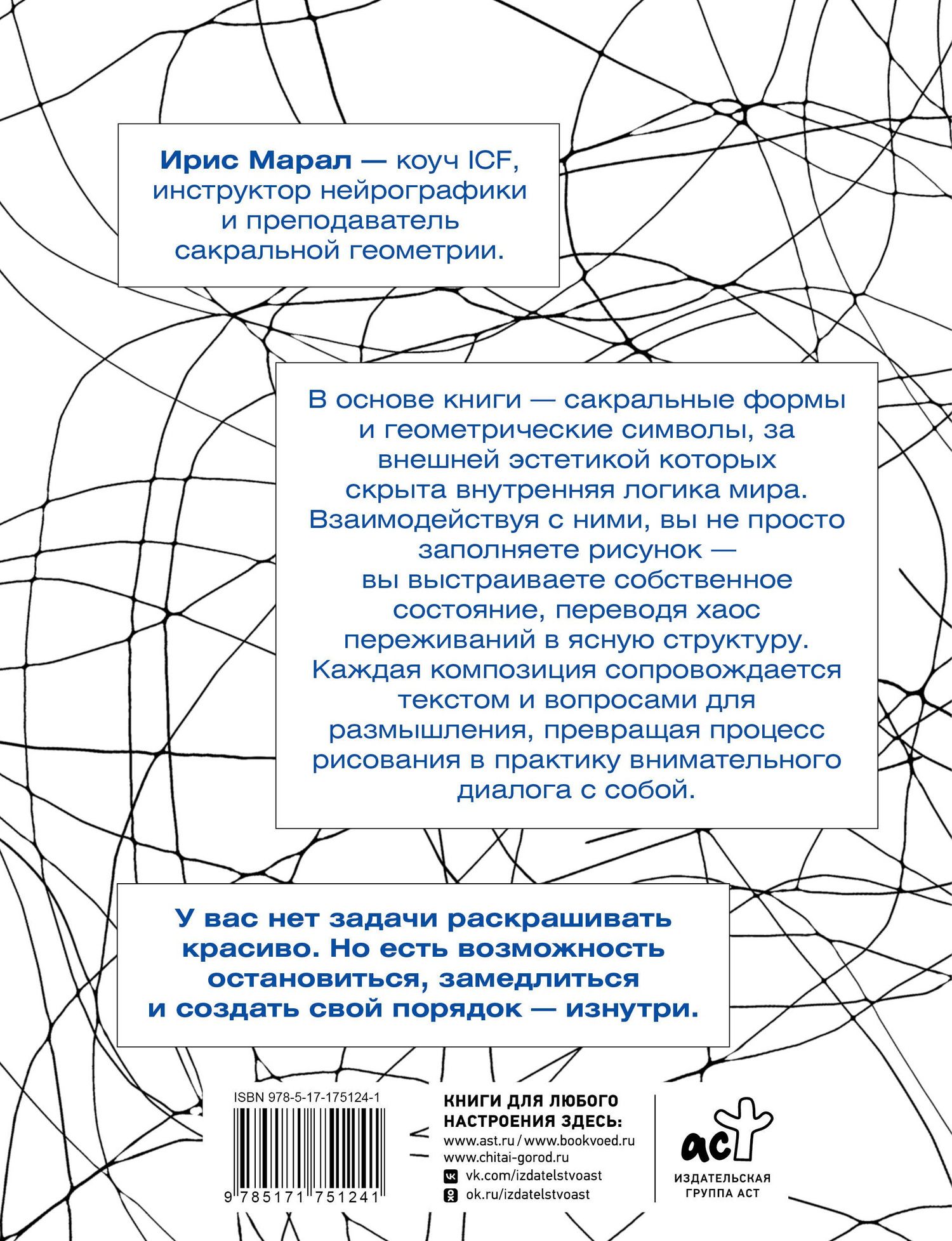 Ирис Марал: Геометрия порядка. Практическое рисование