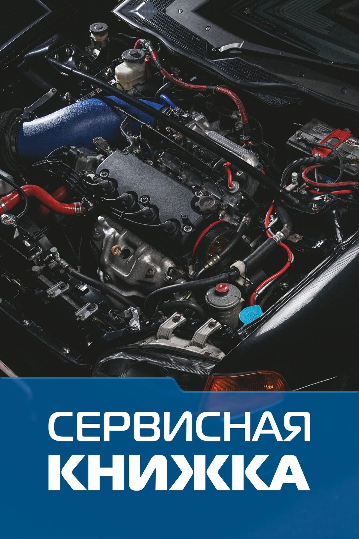 Сервисная книжка (на проволоке)