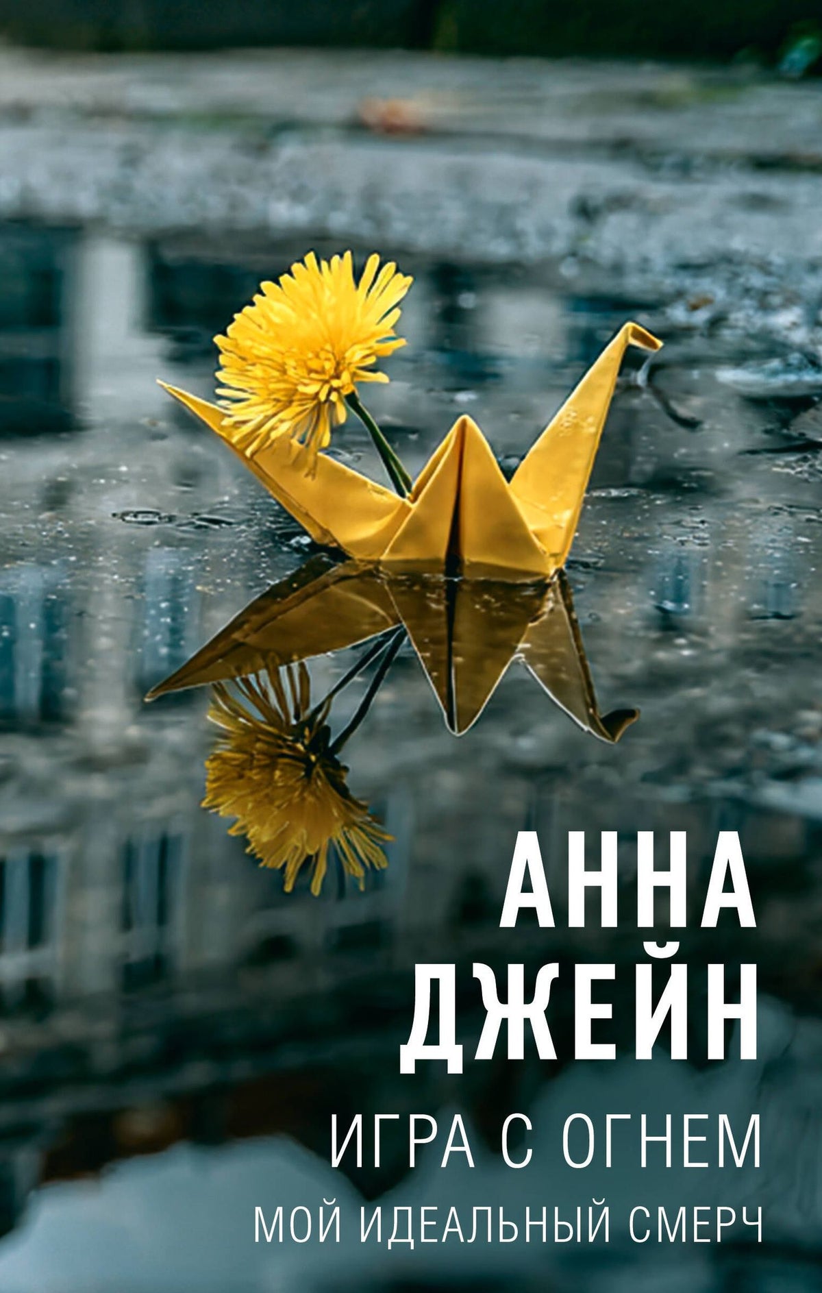 Анна Джейн: Игра с огнем. Мой идеальный смерч