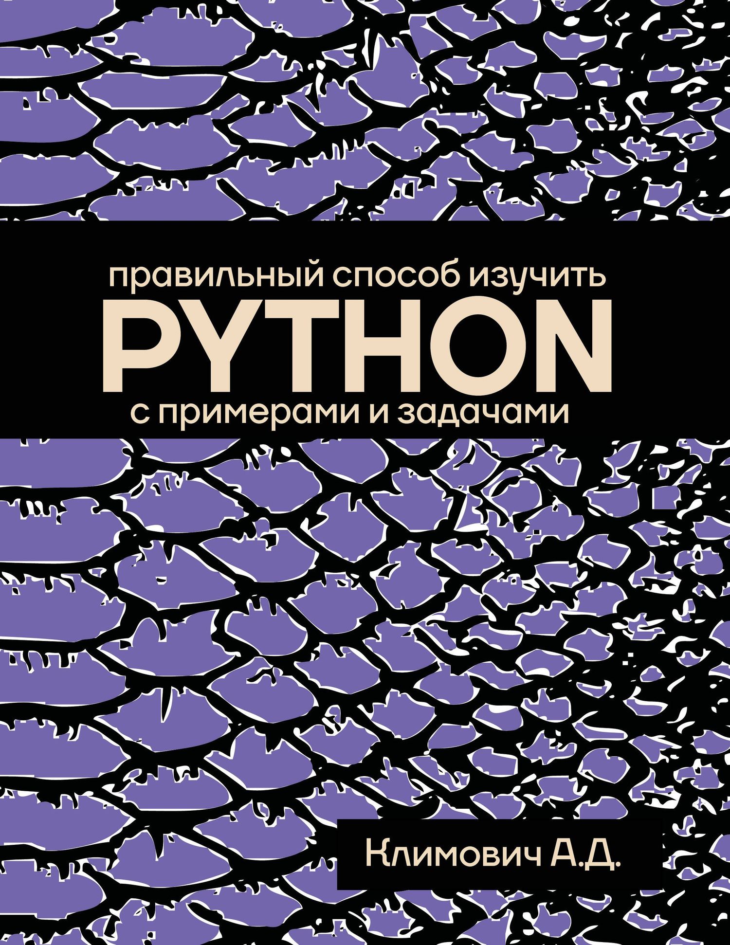 Александр Климович: Правильный способ изучить PYTHON с примерами и задачами