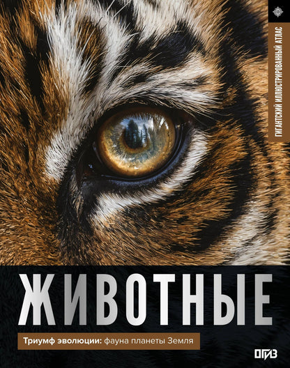 Дмитрий Медведев: Животные. Иллюстрированный атлас
